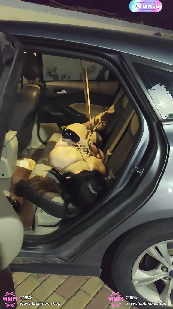 图片[17]-一颗露露子 – [素菜] 5.05小时 SM调教户外露出福利订阅 -萝莉门 LUOLIMEN