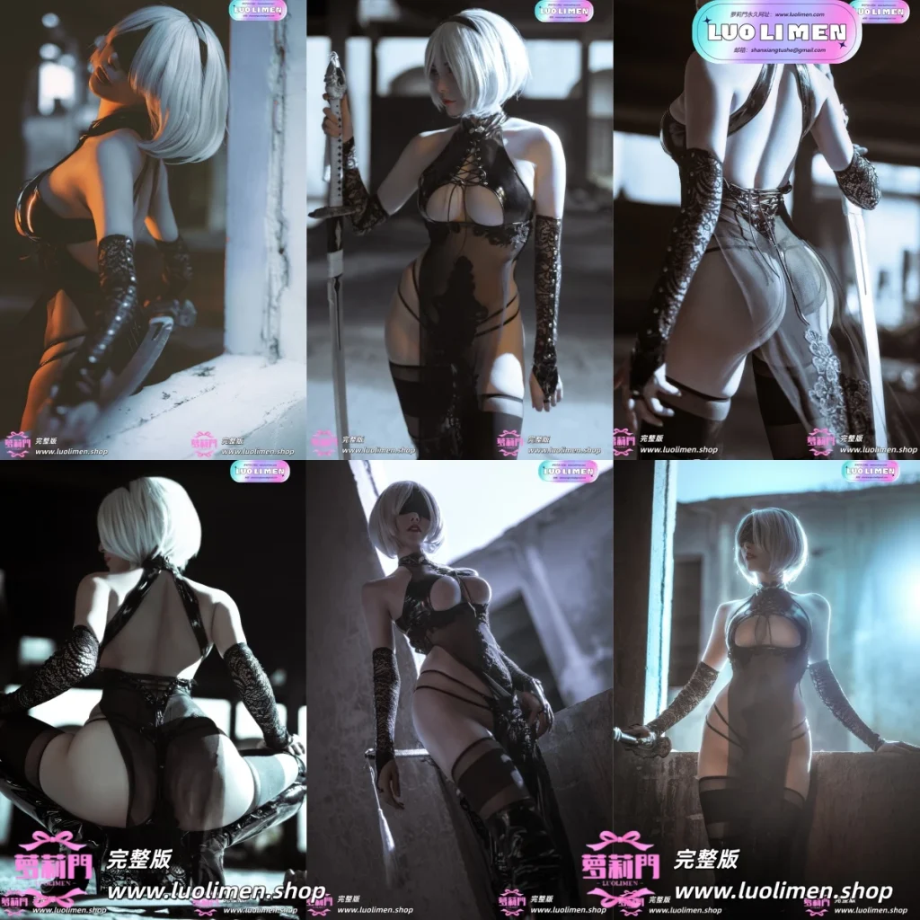 秋和柯基,2B旗袍同人